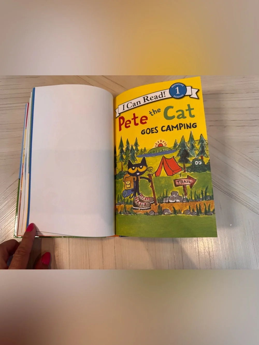 Pete the Cat’s Giant Groovy Book – 9 Books in 1 – Hardcover – NEW